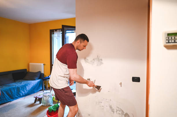 Best Residential Mold Remediation in Batesville, TX
